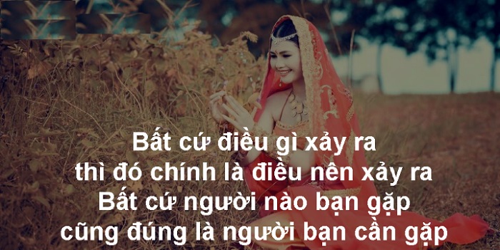 Mỗi việc, mỗi người bạn gặp đều là sự sắp đặt của số phận, không phải ngẫu nhiên